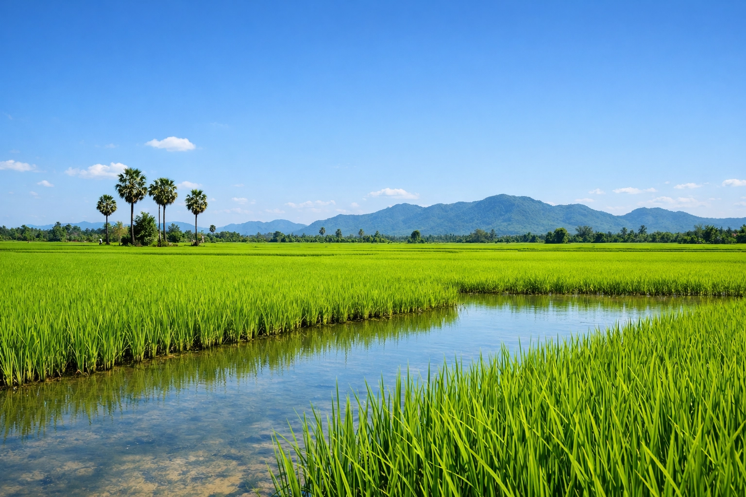 Green Cambodian rice fields and open countryside reflecting Armor of God truth and righteousness, spiritual warfare, and Christian personal development